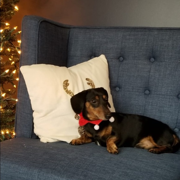 Meet your Posher, Liza - Picture 7 of 7